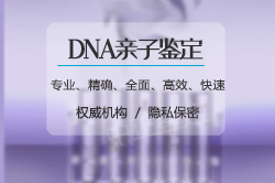 南京司法DNA亲子鉴定需要怎么办理,南京司法DNA鉴定电话号码 南京司法DNA亲子鉴定需要怎么办理,南京司法DNA鉴定电话号码