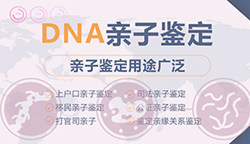 南京亲子鉴定咨询机构怎样预约，南京正规DNA鉴定机构如何选择