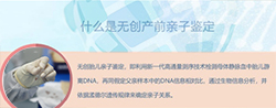 南京胎儿要如何办理亲子鉴定,南京无创产前亲子鉴定多少钱 南京胎儿要如何办理亲子鉴定,南京无创产前亲子鉴定多少钱
