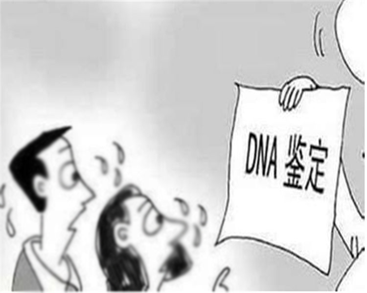 南京司法亲子鉴定流程,南京司法亲子鉴定需要怎么做