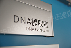 南京怀孕期间怎么鉴定孩子父亲是谁,南京产前亲子鉴定收费情况 南京怀孕期间怎么鉴定孩子父亲是谁,南京产前亲子鉴定收费情况