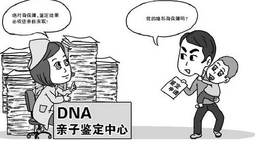 南京DNA检验鉴定中心怎样预约,南京DNA鉴定要如何办理 南京DNA检验鉴定中心怎样预约,南京DNA鉴定要如何办理
